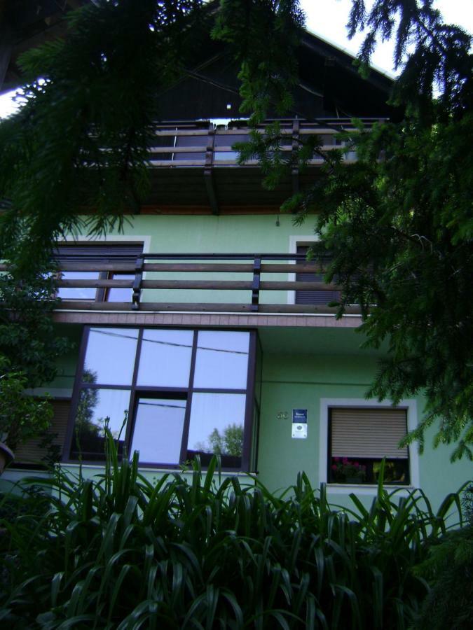 Apartman Zagar ロクヴェ エクステリア 写真